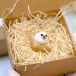 Exquisite handcrafted 3D artisan Java Sparrow keycap, showcasing a charming bird in an intricate miniature scene on a textured mat. Artistic and detailed.