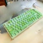 Poetic Chinese Art Keycaps Set gallery: various angles of exquisite backlit traditional landscape art, featuring serene green plums and tranquil rain scene.