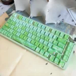 Poetic Chinese Art Keycaps set featuring exquisite backlit traditional landscapes, evoking tranquil scenes of green plums and gentle rain.