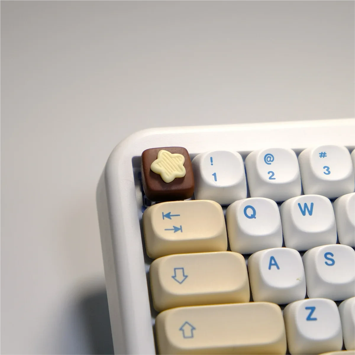 Artisan chocolate biscuit keycap shown from various angles. Its realistic 3D brown design offers a whimsical, edible aesthetic for custom keyboards.
