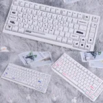 Premium Stylish Designer PBT keycaps set: modern two-tone design with crisp legends, perfectly backlight-compatible for an enhanced aesthetic.