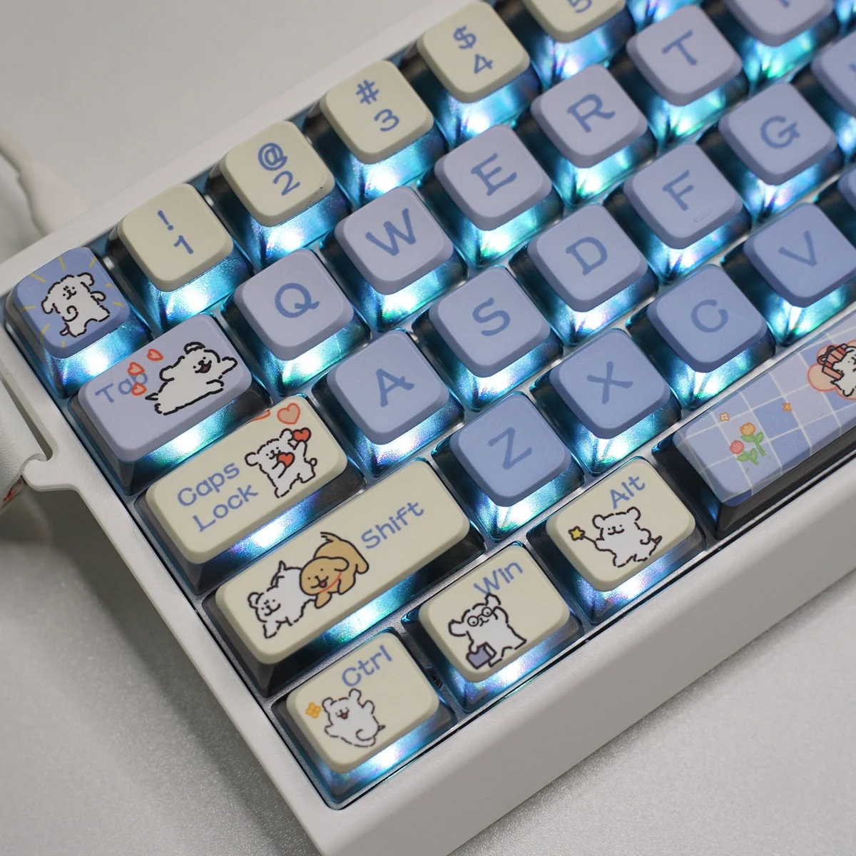 A collection of cute Maltese Dog RGB keycaps set viewed from multiple angles, highlighting their unique four-sided translucent design and playful vibrant light.