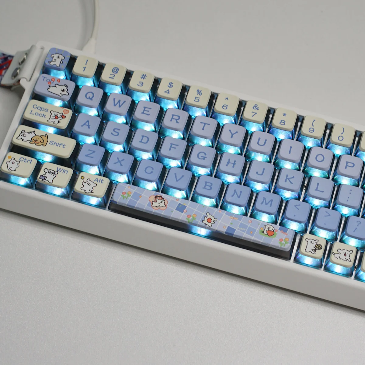 Cute Maltese Dog RGB keycaps set glowing with vibrant light, highlighting their adorable minimalist design and unique 4-sided translucent effect.