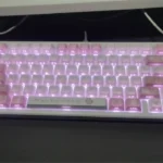 Cute Nachoneko PBT anime keycaps set, showcasing the unique design of backlit effect for full set in dreamy pastel pink, purple, and blue colors.
