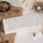 Ethereal Dream Butterfly PC Cherry keycap set with soft milky white keys and delicate butterfly motifs, showcasing its unique artistic design.