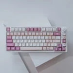 Unleash the hunt with this premium Monster Hunter PBT keycap set, showcasing vibrant dye-sublimated iconic creatures and weapons.