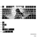 Detailed gallery views of Serene Bamboo PBT Shine-Through Keycaps Set, showcasing unique side-shine and intricate East Asian bamboo art.