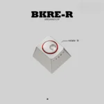 Close-up of a PE-K-5 BKRE-R Series Keycaps, showcasing its sleek, minimalist design and refined metallic finish for modern setups.