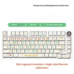 Close-up of vibrant Summer Party PBT keycaps, showcasing playful side-printed, translucent legends in Cherry profile for a backlit keyboard.