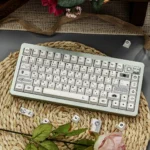 A gallery of subtle multi-tone white Zen PBT keycaps set, showcasing their clean lines and harmonious design from various angles for a natural aesthetic.