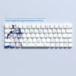 Wuthering Waves Shorekeeper side-print PBT keycaps set displayed from various angles, revealing crisp, shine-through legends and their dark sci-fi guardian.