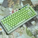 Main image of Greenery PBT keycaps set, highlighting their high-quality, nature-inspired design and ergonomic Cherry profile for a fresh, tranquil desktop.