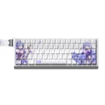 Premium Honkai Star Rail Robin PBT side-lit keycaps set, elegantly displaying luminous legends and intricate character art from various angles, perfect for fans.
