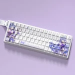 Elegant Honkai Star Rail Robin PBT side-lit keycaps set, beautifully showcasing the luminous legends and premium character art from multiple angles.