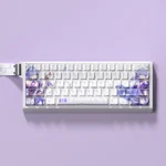 Premium Honkai Star Rail Robin PBT side-lit keycaps set, featuring elegant character art and luminous side-legends, perfect for fans.