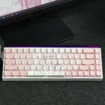 Artistic Apricot Cherry Keycap Set crafted from premium backlit, featuring original designs and a soft inviting glow.