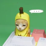 Adorable handcrafted Banana Cat keycap from multiple angles, showcasing its charming sculpted feline design and whimsical banana motif for custom ESC Key.