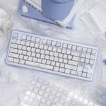 Playful PBT MOA keycaps set showcasing adorable bunny and dessert designs in pastel hues, displayed from various delightful perspectives.