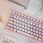 Adorable pink Pixel Cat PBT keycaps set, showcasing charming pixel art cats from multiple angles, highlighting durable quality and playful retro vibes.