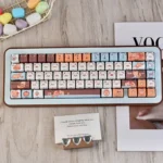 Adorable Raccoon MAO profile PBT keycaps set for MX keyboards, featuring playful raccoon art and durable texture, viewed from various angles.