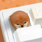 Charming handcrafted Shiba Inu ESC keycap from multiple angles, showcasing its playful artistry and cute design guarding your keyboard.