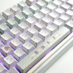 Adorable Cozy Bear Home keycap set featuring playful bear characters and unique side-engraved translucent legends. Custom keycaps for a charming aesthetics.