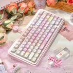 Playful Cat Squad Keycaps Set, a translucent PC set with side-printed legends, shown from various angles for vibrant RGB backlighting.