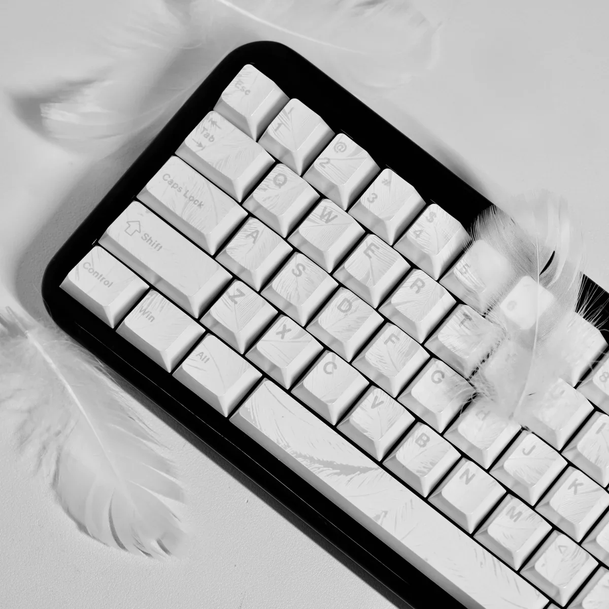 Detailed product gallery of Iridescent Feather Pattern Keycap Set, showcasing their ethereal shimmer, unique feather motifs, and ergonomic Cherry profile.