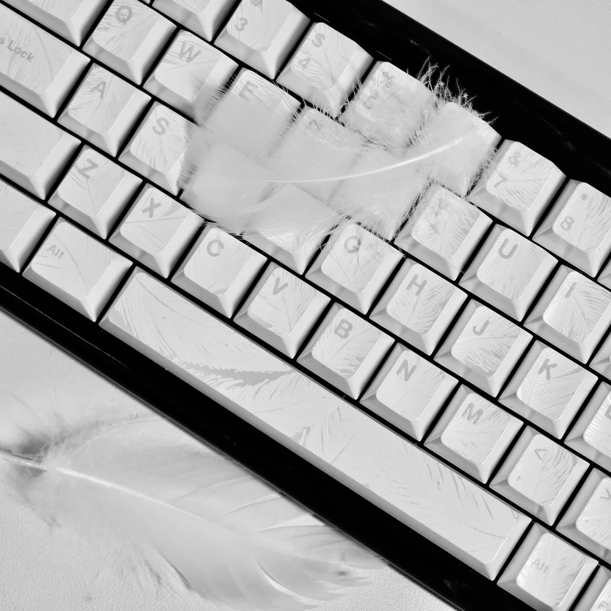 Multi-angle view of Iridescent Feather Pattern Keycaps Set, emphasizing ethereal feather motifs, shimmering pearlescent finish, and Cherry profile comfort.
