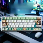 Artistic Honkai Firefly side-transparent artisan keycap set. Multiple views highlight its futuristic Honkai: Star Rail design and translucent RGB element setup.