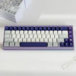 Artistic retro camera keycaps set in muted vintage hues, showcasing durable PBT dye-sub craftsmanship for a vintage keyboard aesthetics.