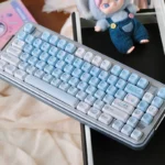 Close-up of the Whimsical Summer Kitty PBT Dye-Sub Keycap Set, showcasing a playful cat design with bright, transparent accents on a durable PBT keycap.