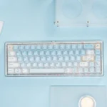 Playful Summer Kitty PBT Dye-Sub keycap set with unique refraction translucent keys, featuring bright, whimsical cat designs for a lively desktop.