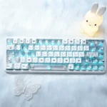 Adorable Miffy PBT shine-through keycaps set featuring iconic Miffy character art on clean white PBT. Experience whimsical charm with translucent side-engraved.