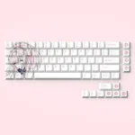 Aemeath Keycaps Set: Durable dye-sub PBT Cherry profile set, viewed from various angles, emphasizing crisp legends and refined textured finish.