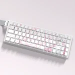 Experience the exclusive Blue Archive Takanashi Hoshino PBT keycaps set, showcasing artistic anime designs in soft hues from various angle.