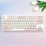Cat Japanese Cherry Keycap Set, dye-sublimated, with whimsical feline illustrations in soft hues tones, capturing a charming Japanese aesthetics.