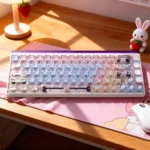 Adorable whimsical lazy cat translucent PC keycaps set, featuring playful paw accents and charming translucent designs.