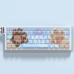 Adorable cat paw PBT dye-sub keycaps set displayed on a keyboard, featuring whimsical pastel colors for a playful aesthetic. Perfect for cat lovers.