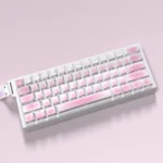 Detailed product images of whimsical cat theme PBT keycaps set, revealing their playful side-translucent legends and durable PBT construction.