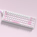 Detailed view of whimsical cat theme PBT keycaps set, highlighting side-translucent, side-engraved legends and playful cat illustrations from various angle.