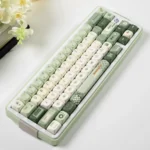Premium PBT Dye-Sub Early Spring Keycaps, with gentle green gradients and artistic floral patterns.