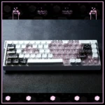 Sweet Cool Cat translucent PC MAO keycaps set, featuring adorable cat motifs from various angles, glowing vibrantly under RGB lighting.