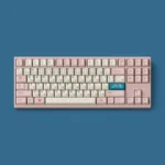 Detailed shot of the whimsical Cat Sushi PBT Dye-Sub keycap set, showcasing playful feline characters and vibrant sushi motifs on individual keys.