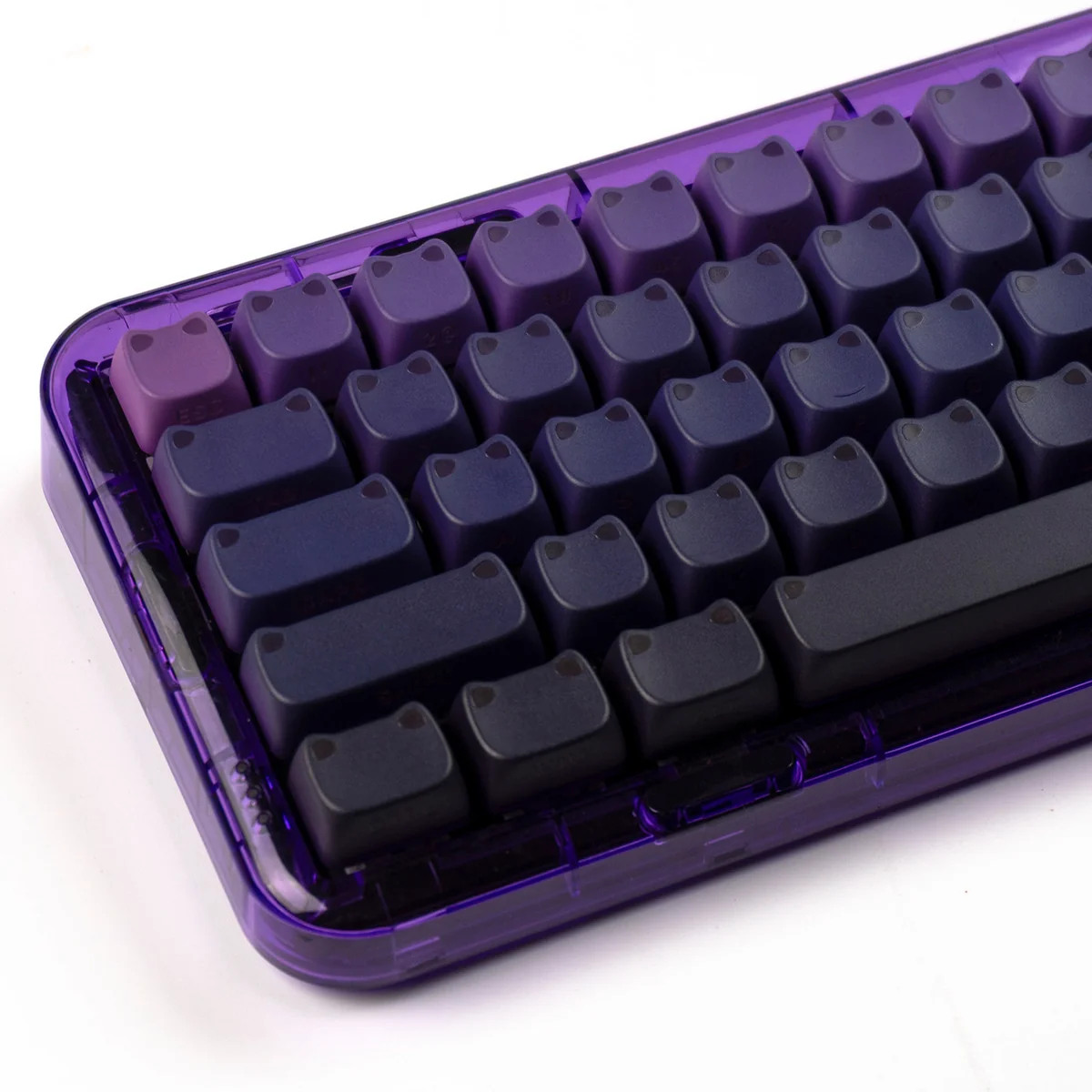 Artistic close-up of a luminous gradient cat ear keycap set, highlighting its vibrant color shift and charming cat ear design with crisp side legends.