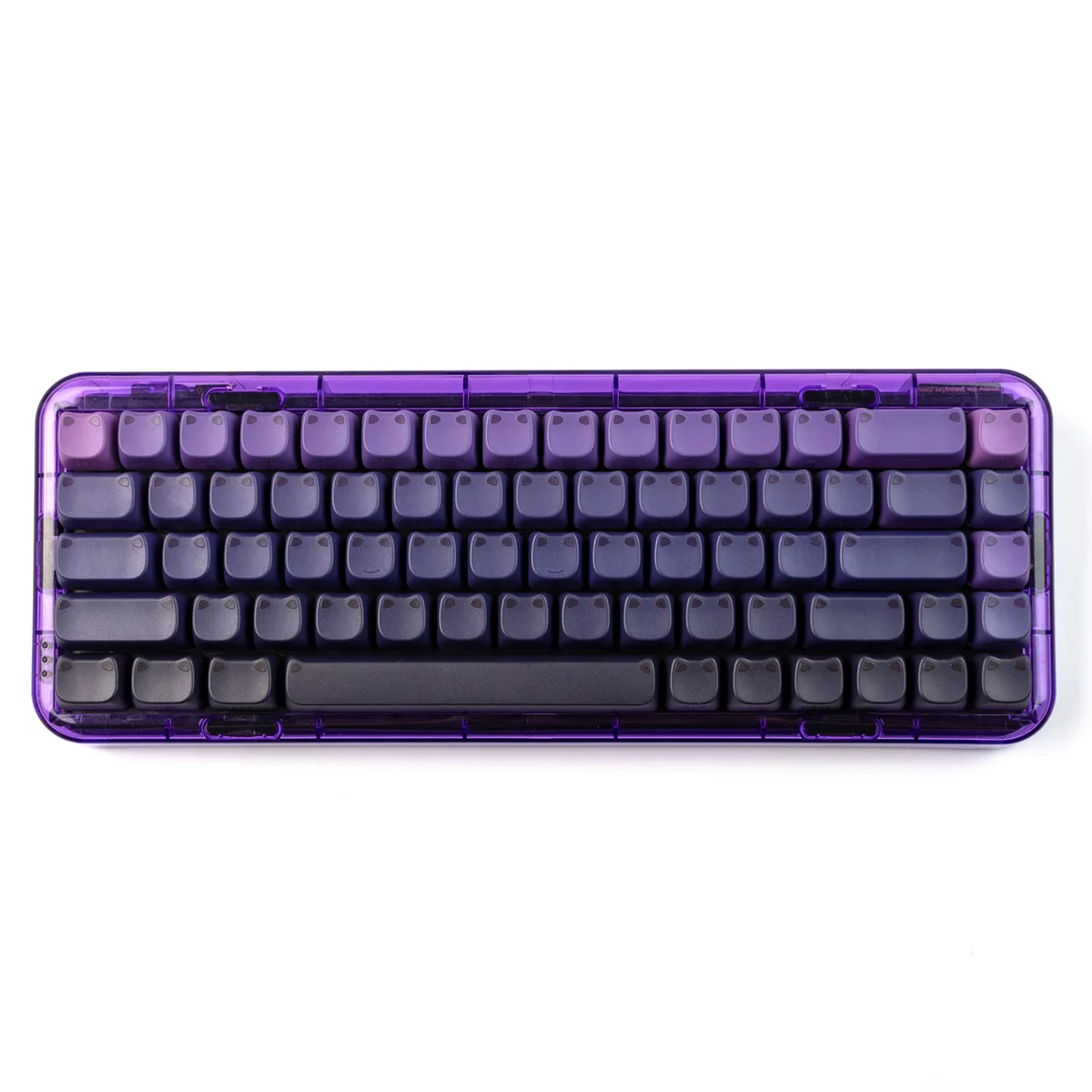 Luminous Gradient Cat Ear Keycap Set from multiple artistic angles, emphasizing its vibrant color shifts, playful cat ear design, and clear side legends.