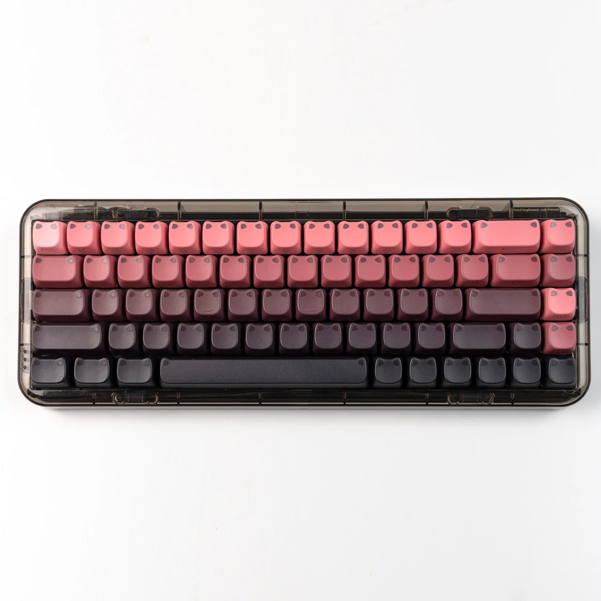 An artistic, detailed view of the luminous gradient cat ear keycap set, highlighting its vibrant color scheme and playful side legends for a captivating design.
