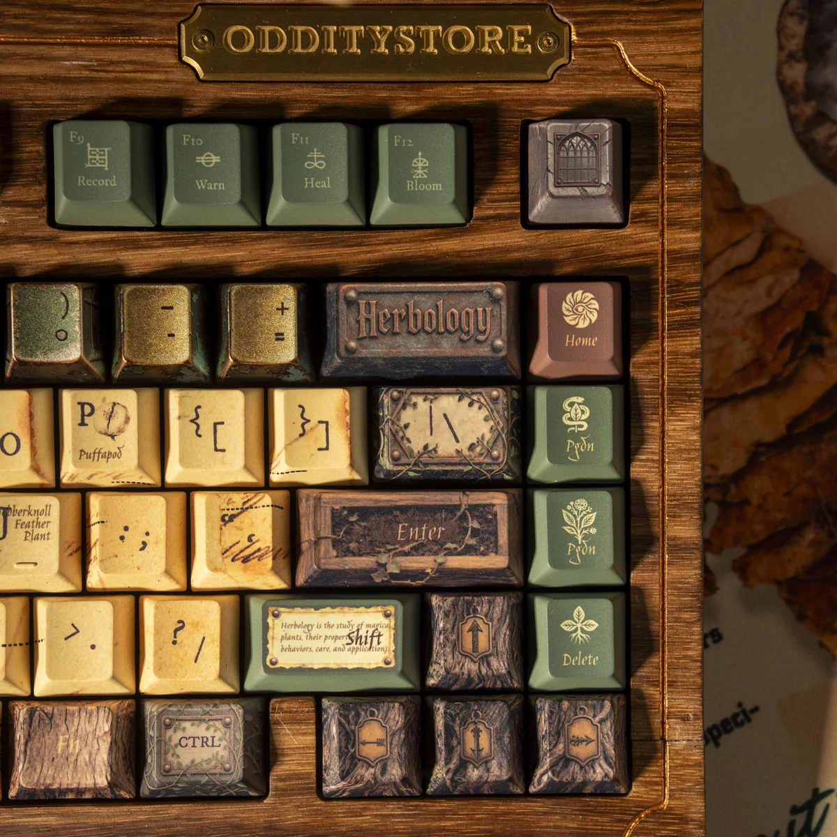 Magic Herbology PBT keycaps set, from a unique angle, display botanical illustrations, mystical greenhouse elements, and earthy tones.