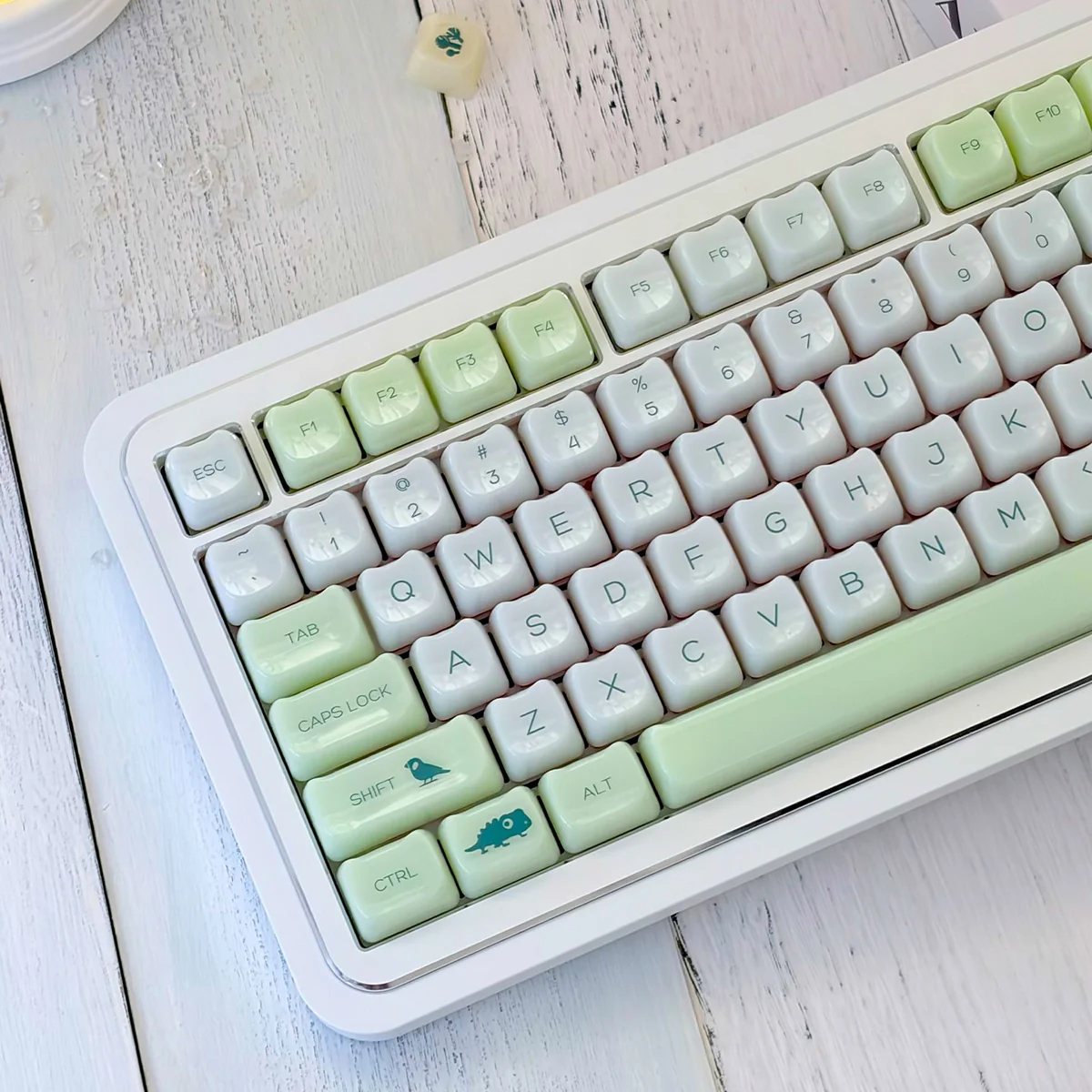 Jelly Green PC Keycap Set in MAO Profile, beautifully displayed from various angles, capturing its vibrant botanical journey and smooth, jade-like finish.