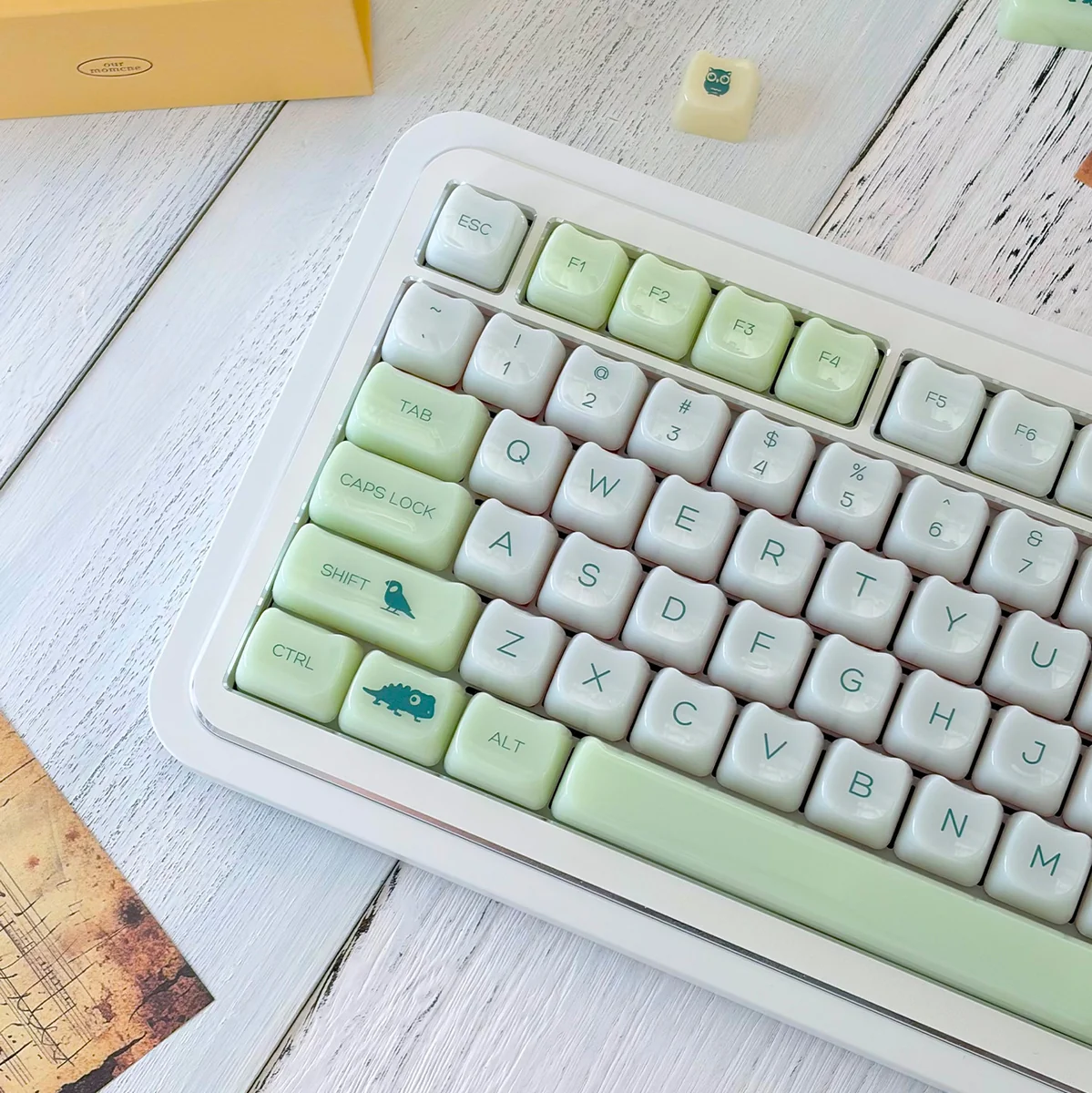 A close-up artistic view of the Jelly Green PC Keycap Set, showcasing its vibrant, smooth jade-like finish and nature-inspired MAO profile from various angles.